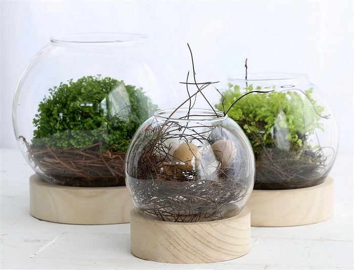 glass dome with wood base