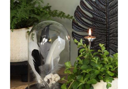 glass dome with wood base