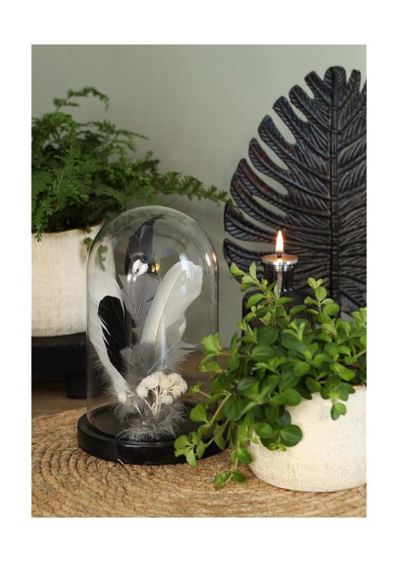 glass dome with wood base
