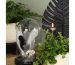 glass dome with wood base
