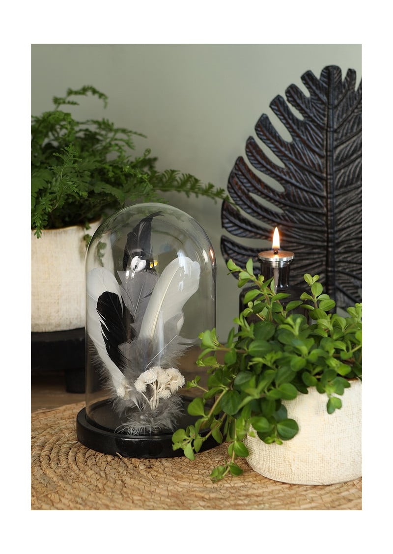 glass dome with wood base