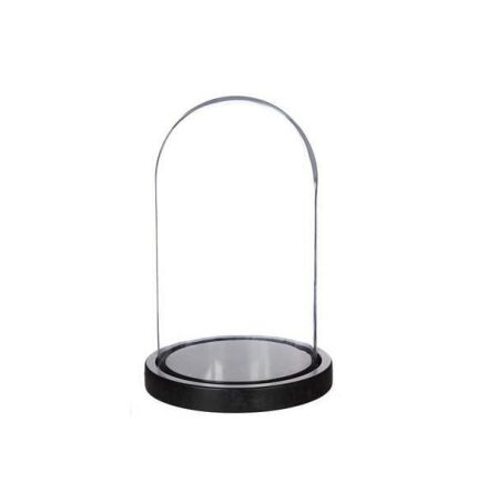 bell jar glass dome with wood base